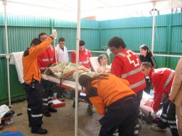 simulacroyecla2003_2